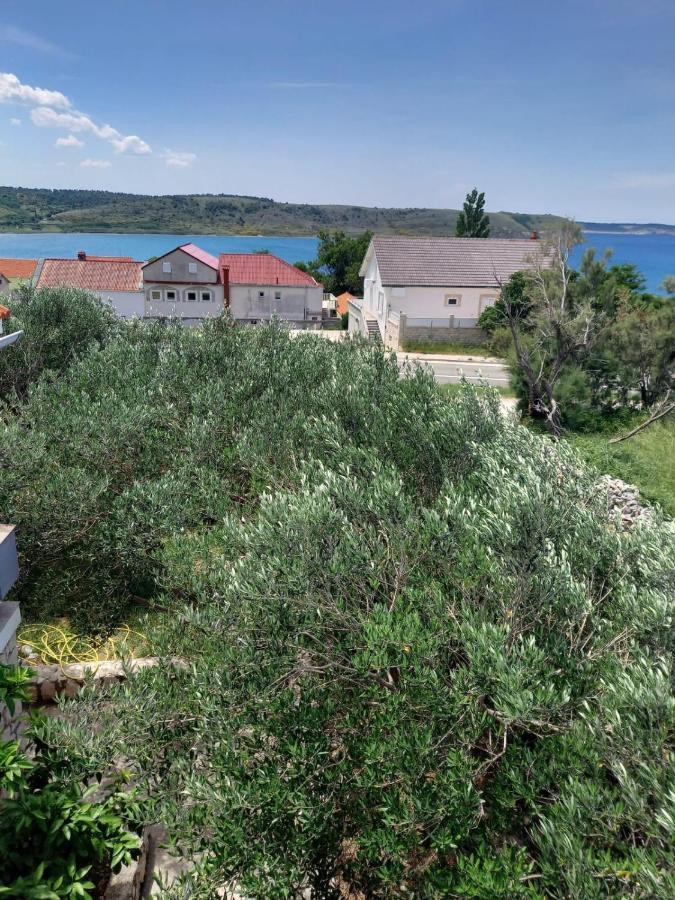 Apartmani Branka Rtina Exterior photo